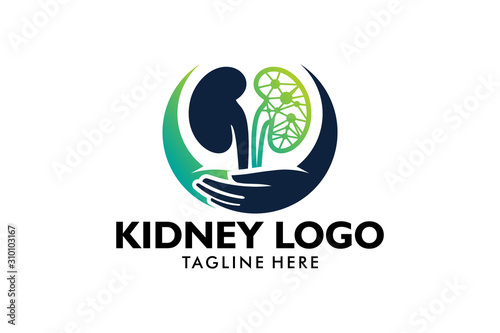 kidney care logo icon vector isolated