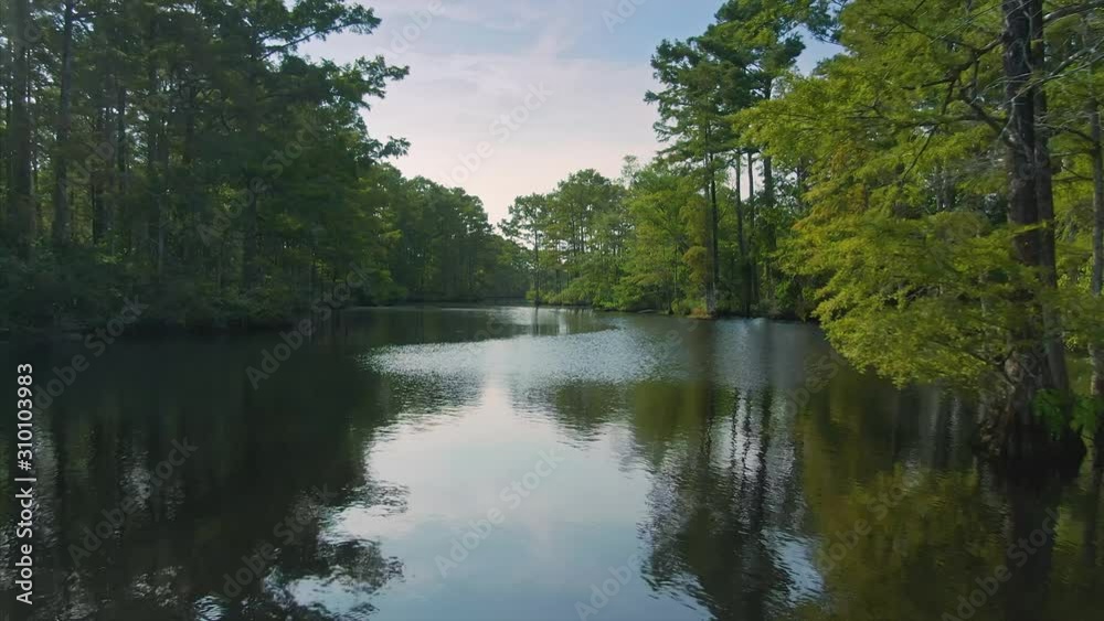 Aerial: floating up a river with trees. Moyock, North Carolina, USA. Aerial: floating up a river with trees. Moyock, North Carolina, USA.