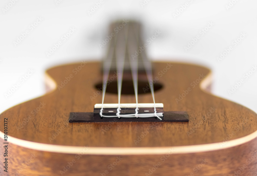 Bridge at ukulele. Close up. Isolated on white background Bridge at ukulele. Close up. Isolated on white background