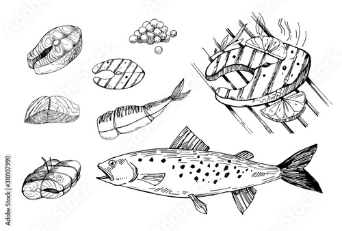 Fototapeta Naklejka Na Ścianę i Meble -  Fish food, salmon, steak, filet. Hand drawn outline converted to vector. Isolated on transparent background
