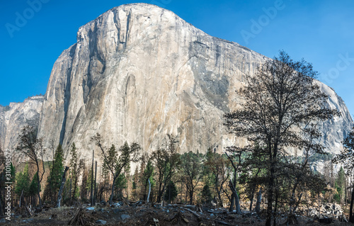 morning view of Yosemite Valley, California