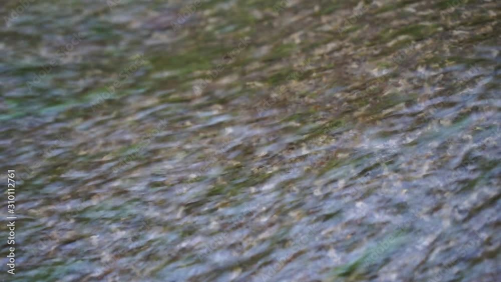 Clear water of a mountain stream. Clear water of a mountain stream.
