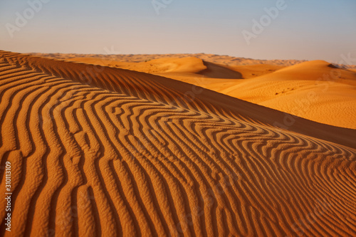 Sand dunes in the desert at sunset in Dubai