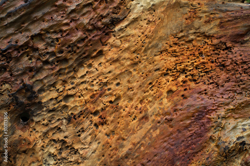 Weathered old rusty color timber surface detail