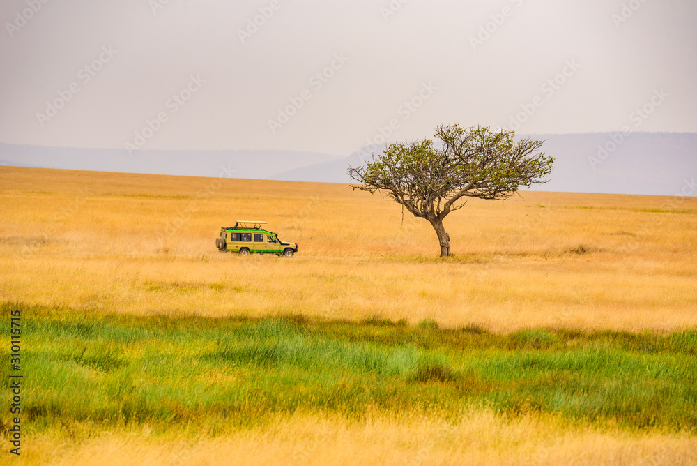 Safari tourists on game drive with Jeep car in Serengeti National Park in beautiful landscape scenery, Tanzania, Africa