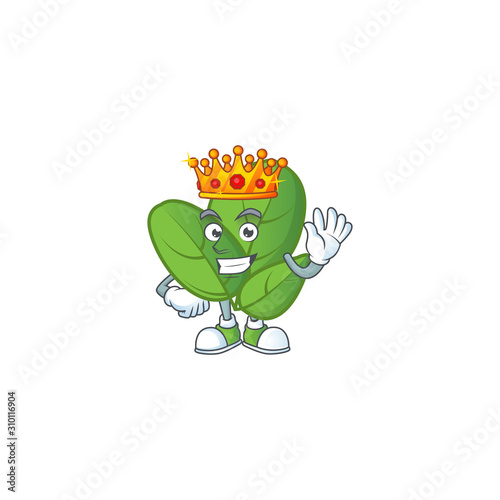 Cool King of basil on cartoon character style