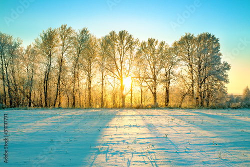 sunny winter landscape with sunrise
