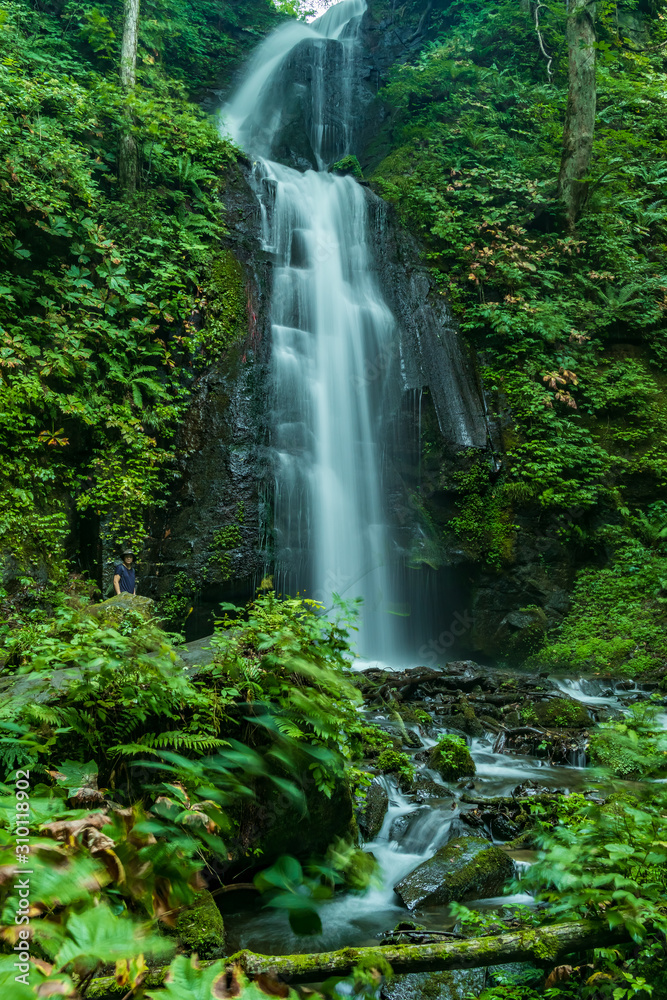 Oirase mountain stream waterfall in Aomori Prefecture Oirase mountain stream waterfall in Aomori Prefecture