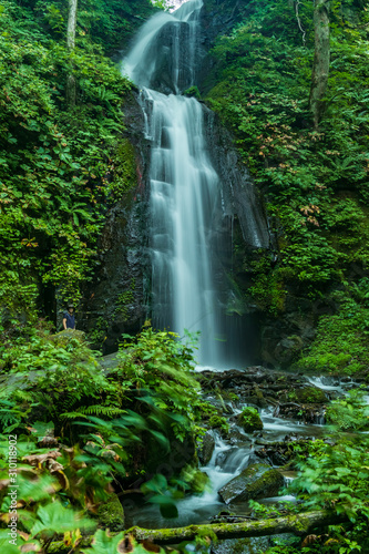 Oirase mountain stream waterfall in Aomori Prefecture