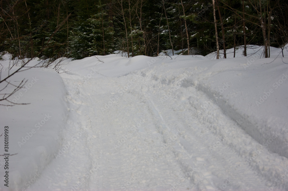 Snow-covered road through the forest. Snow-covered road through the forest.