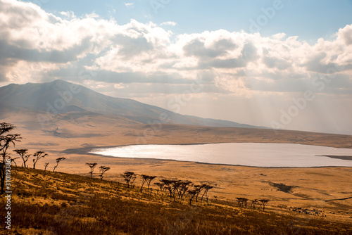 Game drive with Safari car in Serengeti National Park in beautiful landscape scenery, Tanzania, Africa