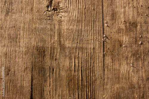 Wooden board, textural background, nature.