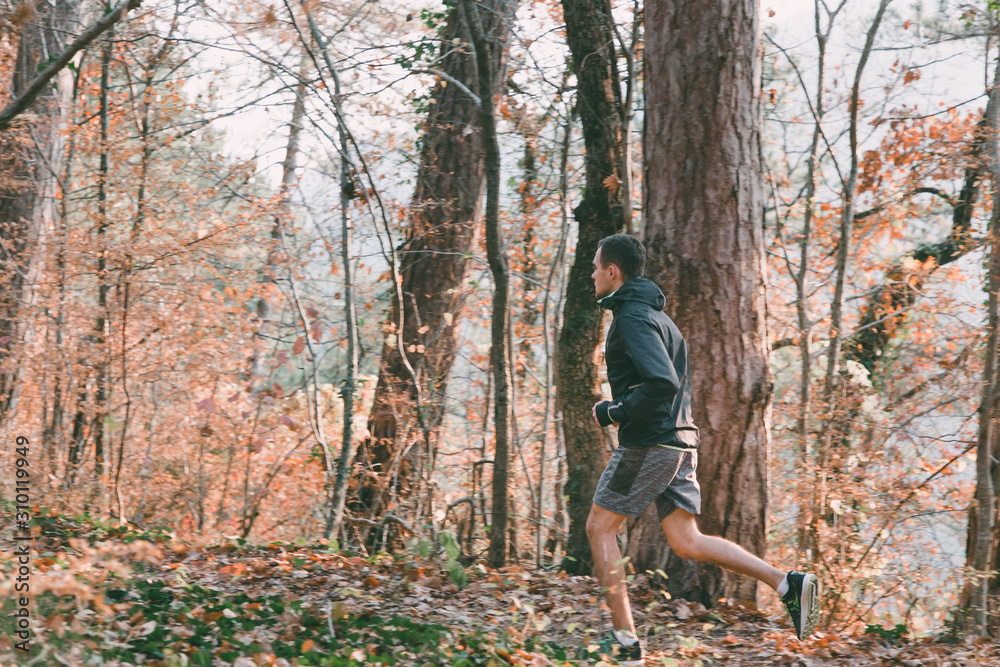 The concept of sport and a healthy lifestyle. A young slender man in sports clothes is engaged in Jogging in the autumn forest or Park. In profile view The concept of sport and a healthy lifestyle. A young slender man in sports clothes is engaged in Jogging in the autumn forest or Park. In profile view