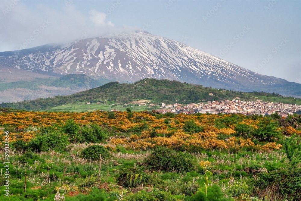 snovy volcano Etna National Park from Maletto, Sicily, Italy