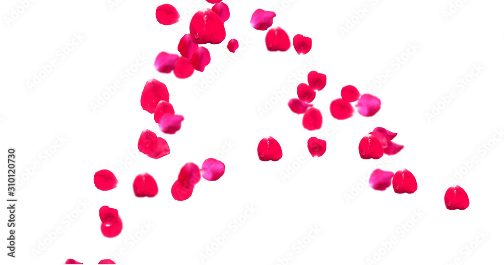Rose Petal Alphabet with white background