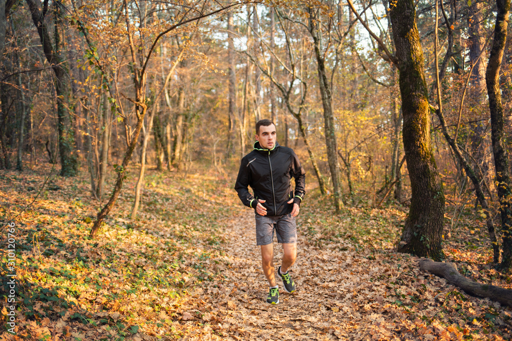 The concept of sport and a healthy lifestyle. A young slender man in sports clothes is engaged in Jogging in the autumn forest or Park