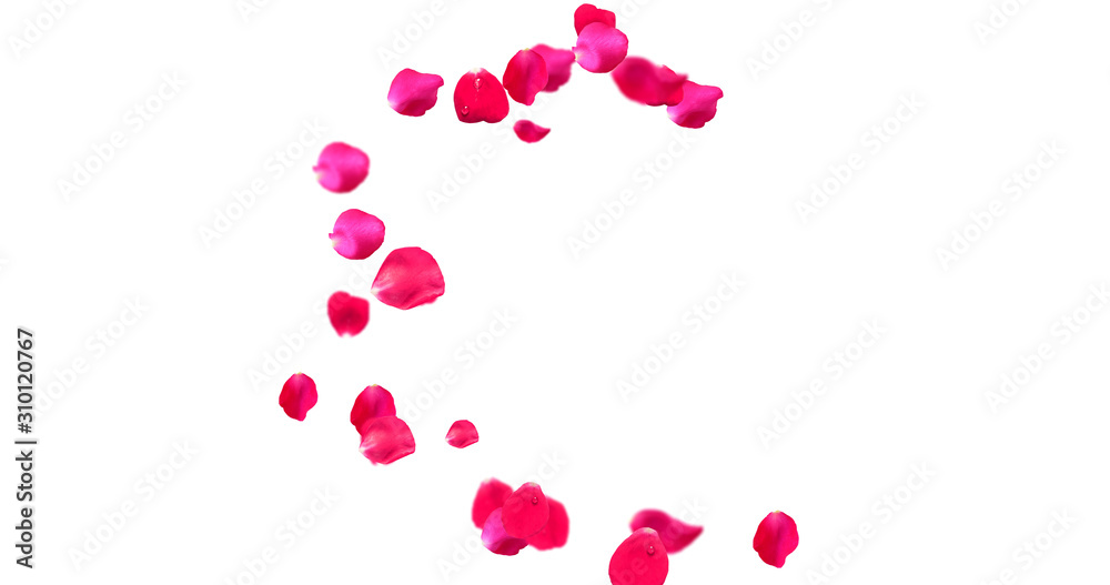 Rose Petal Alphabet with white background