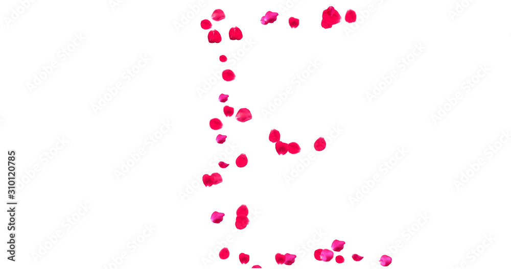 Rose Petal Alphabet with white background