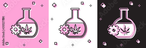 Set Chemical test tube with marijuana or cannabis leaf icon isolated on pink and white, black background. Research concept. Laboratory CBD oil concept. Vector Illustration