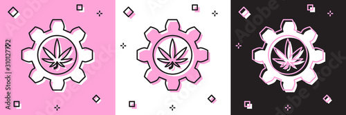 Set Chemical test tube with marijuana or cannabis leaf icon isolated on pink and white, black background. Research concept. Laboratory CBD oil concept. Vector Illustration