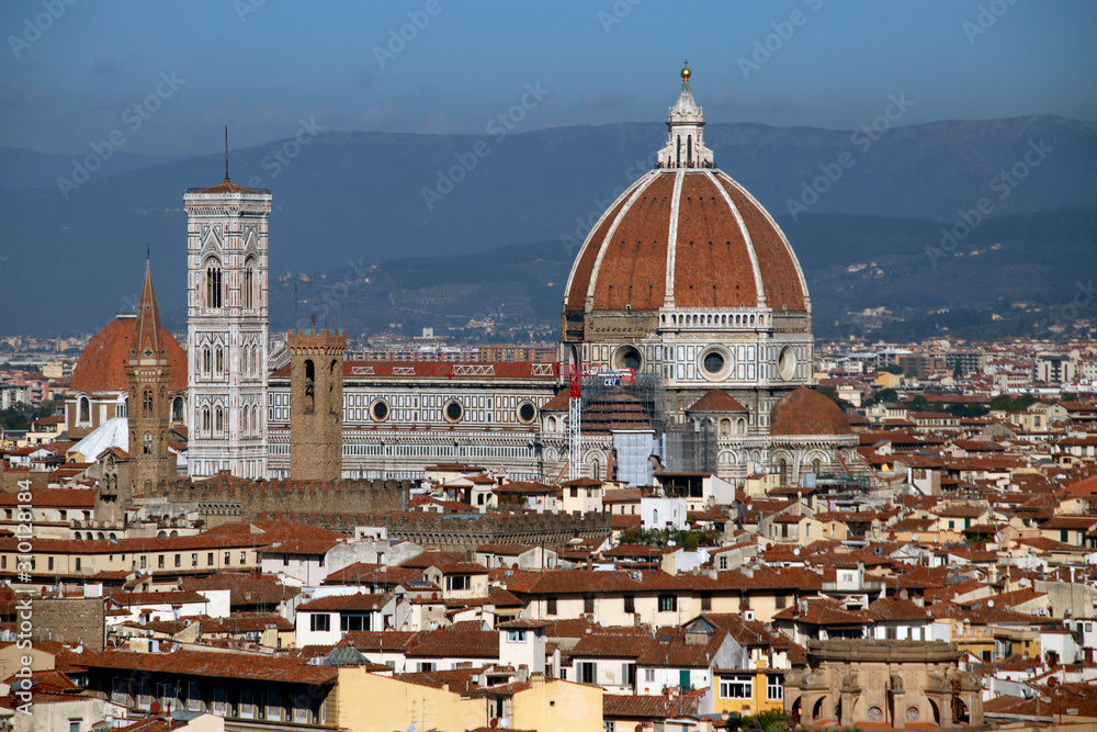 View of Florence from a hill
