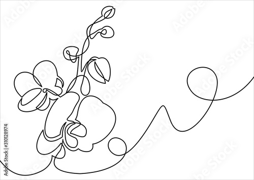 Hand drawn orchid flowers. One line drawing. illustration