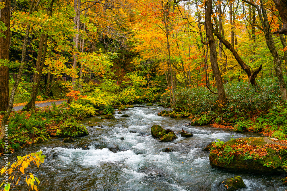 Oirase Mountain Stream flow along the Oirase Stream Walking Trail