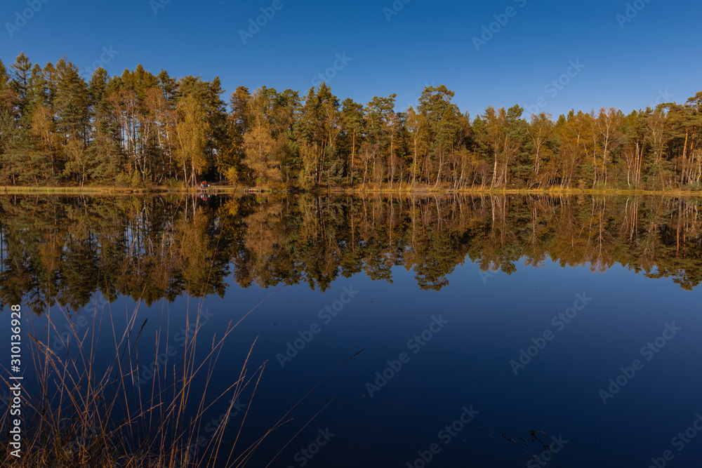 Golden Polish Autumn with reflection of the trees in Black Lake Niepolomice Forest Poland October 2019