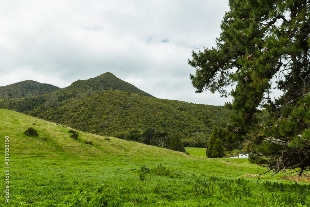 ニュージーランド　タウポのタウハラ山