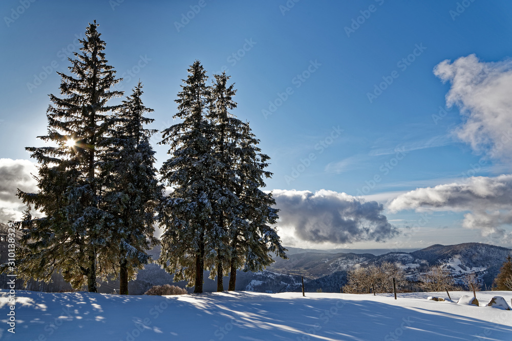 Fototapeta premium Les Vosges en hiver