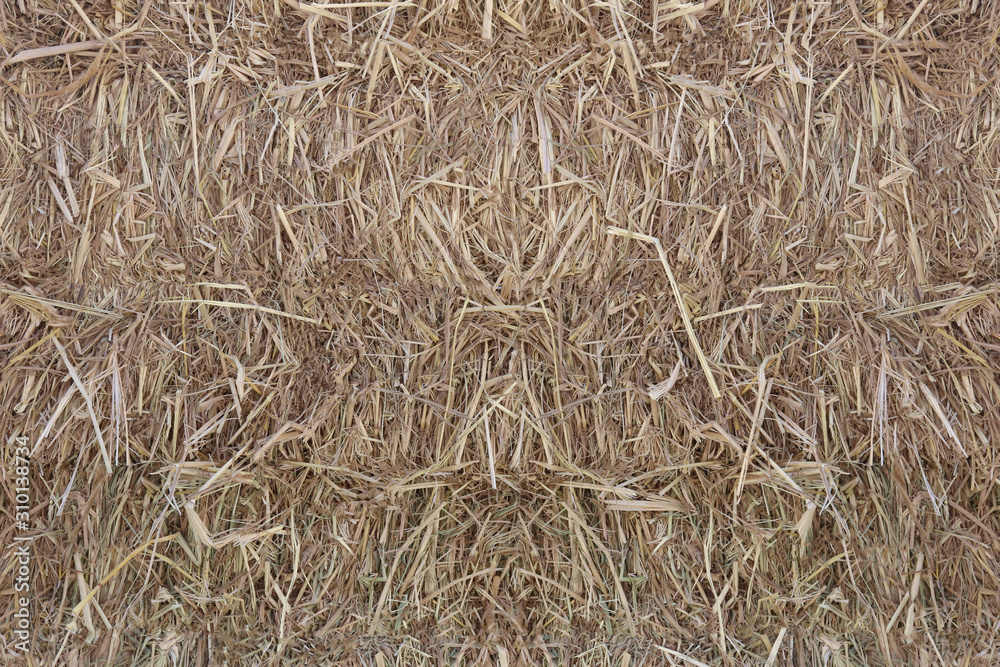 Surface of the rice straw.