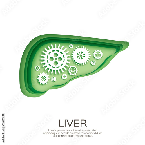 Abstract liver with gears and cogs working together in paper cut style. Origami organ on white background. Healthy sistem.