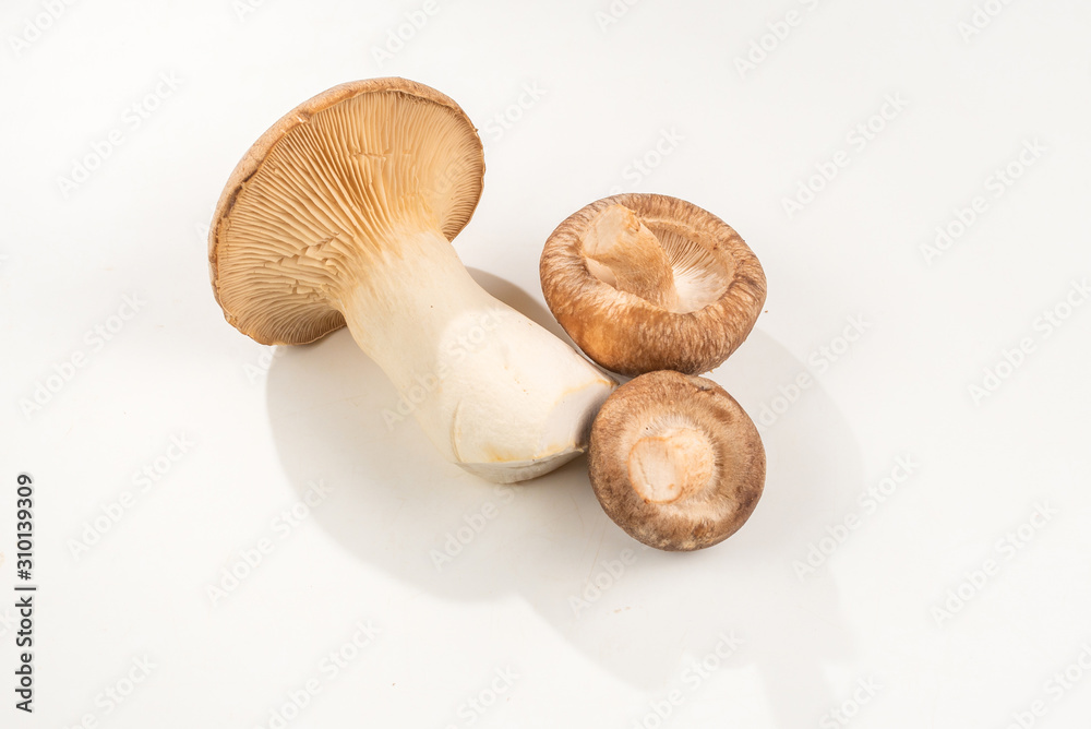 Shitake, eringi tasty mushroom isolated on white background. Shitake, eringi tasty mushroom isolated on white background.