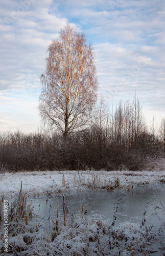 Wallpaper Mural Beautiful winter landscape in Central Russia Torontodigital.ca