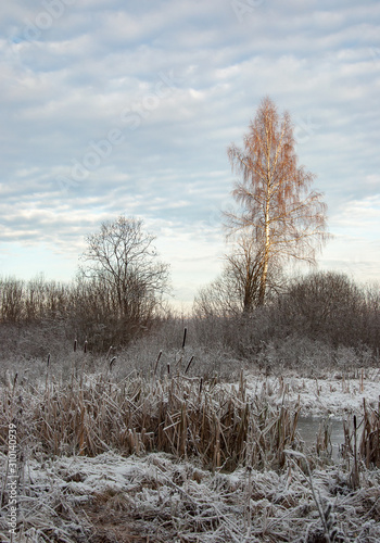 Wallpaper Mural Beautiful winter landscape in Central Russia Torontodigital.ca