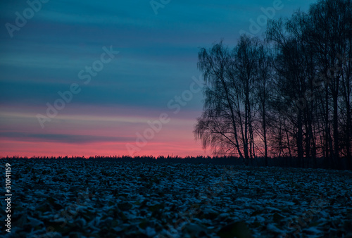 Winter sunset in Central Russia -forest and colorful sky