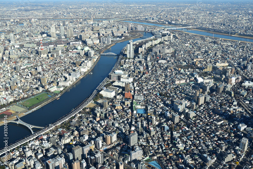 Bird view of Tokyo  Japan