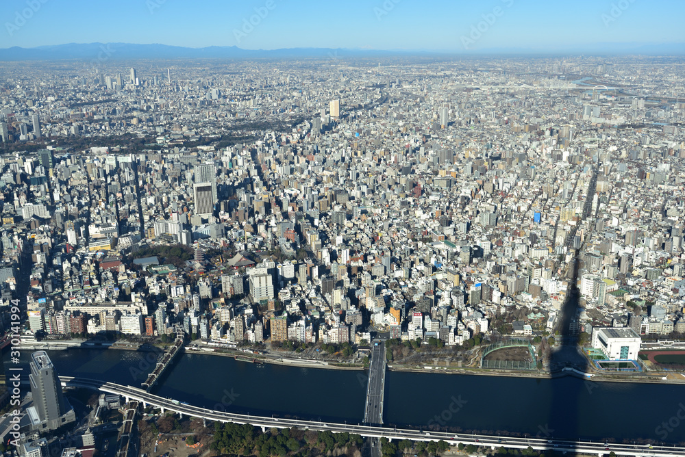 Bird view of Tokyo, Japan