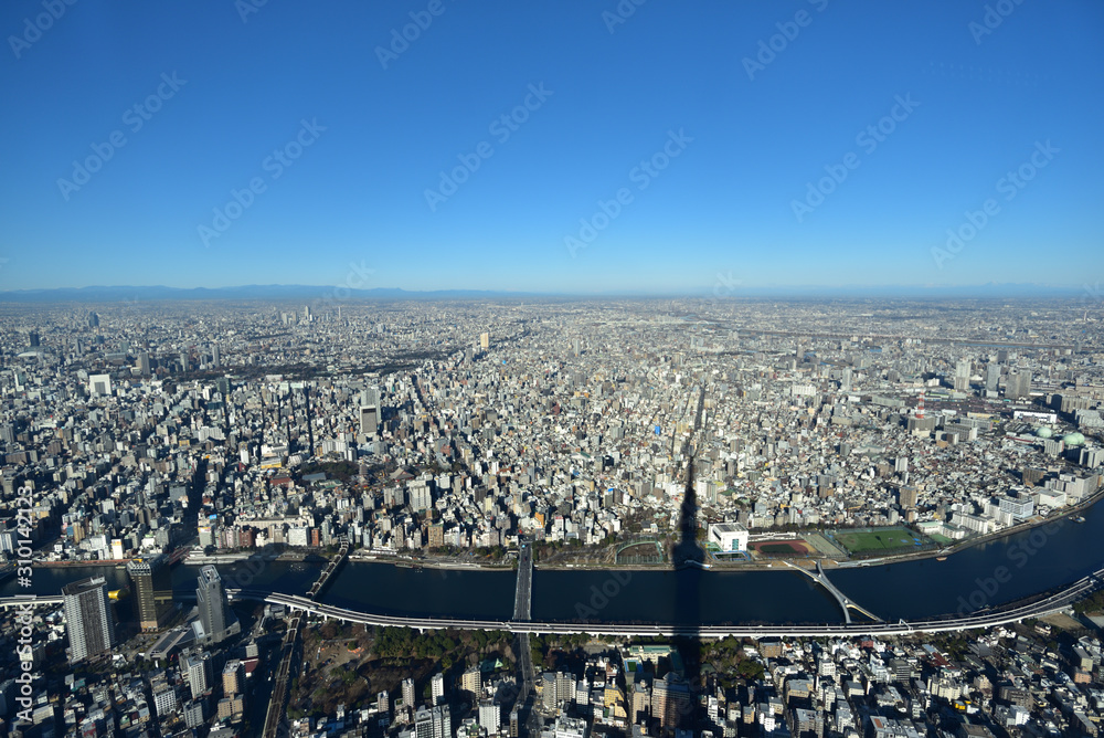 Bird view of Tokyo, Japan