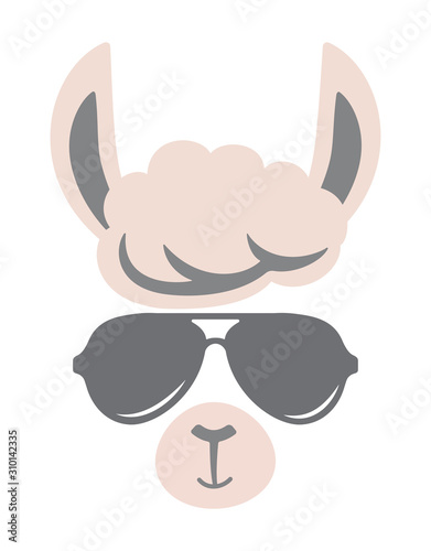 cute llama isolated