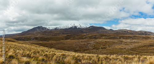 ニュージーランド トンガリロ国立公園のタマ・レイクス・トラックから見えるナウルホエ山