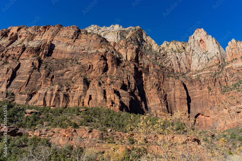 Fototapeta premium Beautiful landscape around Zion National Park
