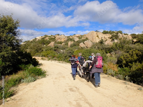 Wallpaper Mural Randonnée solidaire avec handicapé en fauteuil roulant de montagne avec des joelettes sur sentier et piste Torontodigital.ca