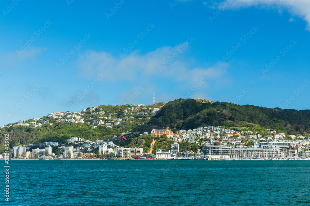 ニュージーランド　ウェリントンのウェリントン港の風景とマウント・ビクトリア