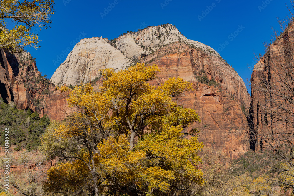 Beautiful autumn landscape around Zion National Park