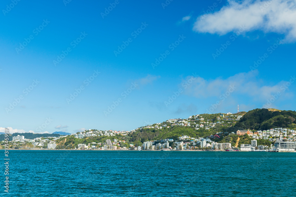 ニュージーランド　ウェリントンのウェリントン港の風景とマウント・ビクトリア
