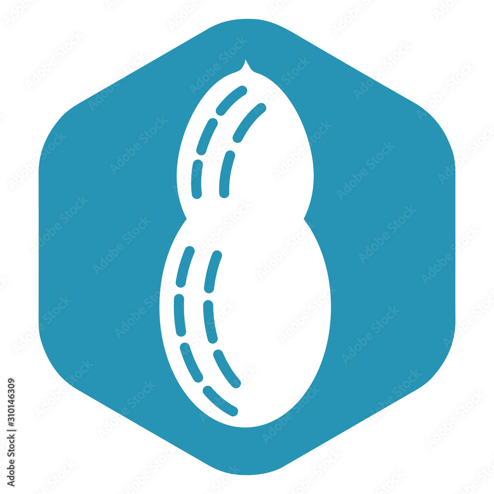 Icon nut. Nuts and foods containing nuts. Healthy lifestyle. Bio and eco product. Vector