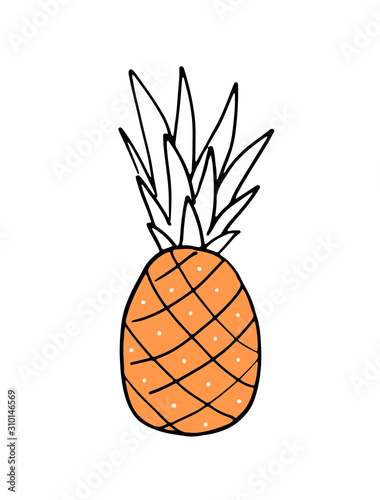 Vector illustration of a pineapple. Organic, natural template. Cute ananas with leaves. Great basic for flyer, brochure, wrapping paper, shirt design print, invitation, banner, poster.