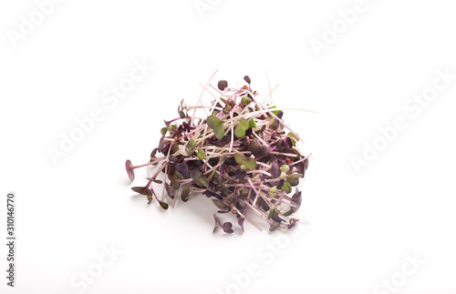 Organic plant microgreens for making detox salads on white