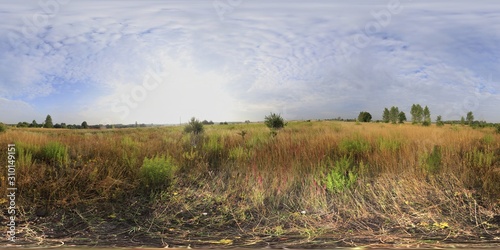 Fototapeta Naklejka Na Ścianę i Meble -  Harvesting LAndscape 360 Panorama